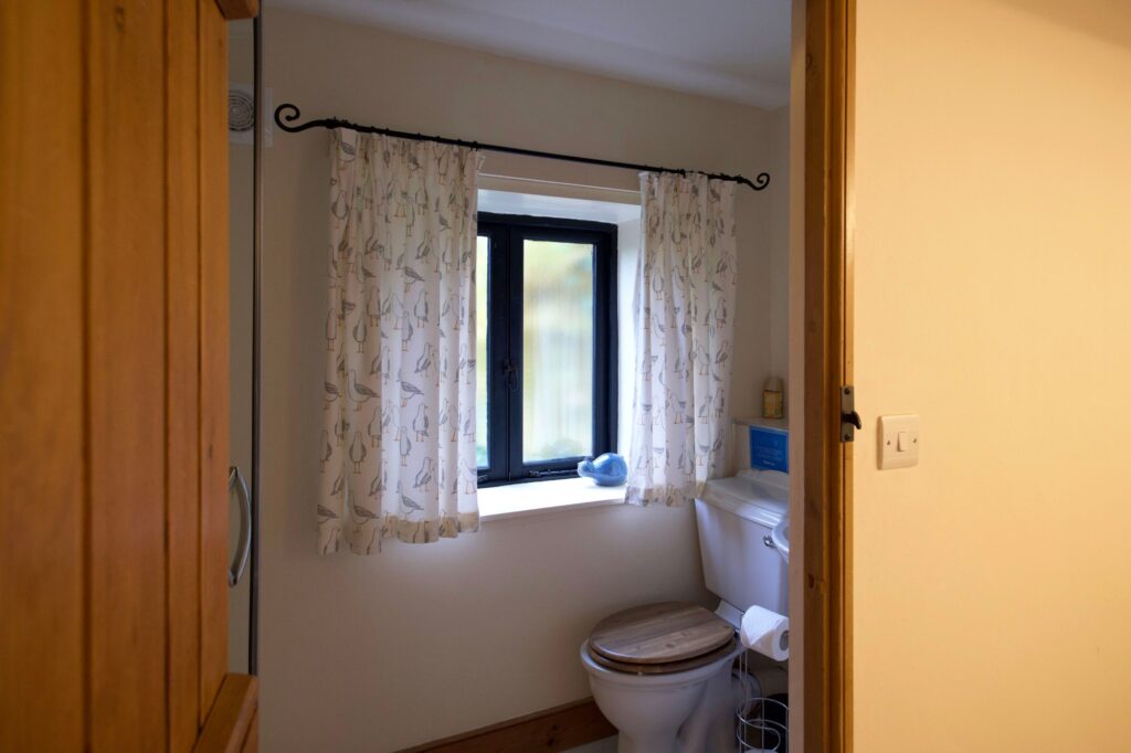 The ground-floor toilet with seagull print curtains