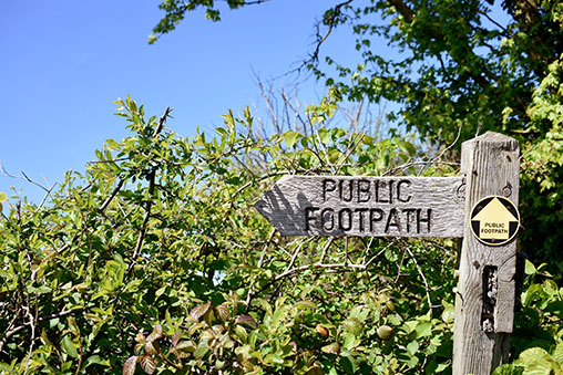 A wooden public footpath sign in the hedgerow